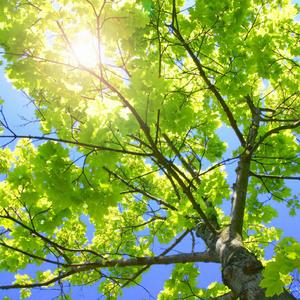 复古伦理经典XXXX
